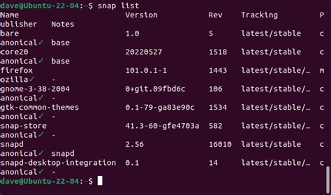 Snap List All Installed Packages