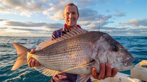 Snapper Fish