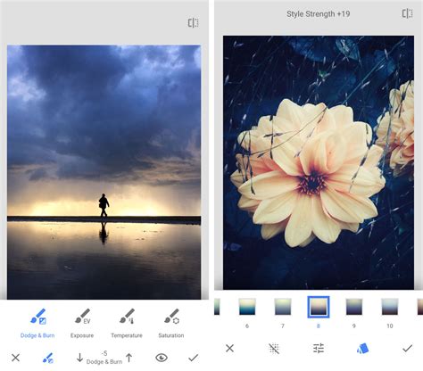 Snapseed Tutorial