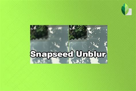 Snapseed Unblur
