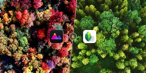 Snapseed Vs Darkroom