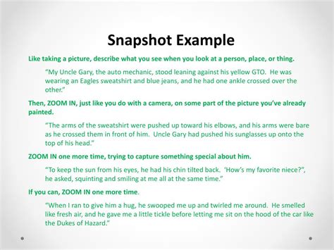Snapshot Example Meaning