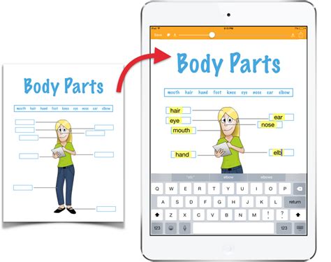 Snaptype Math Worksheet Examples