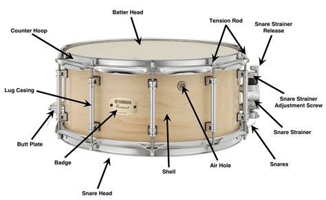 Snare Drum Replacement Parts