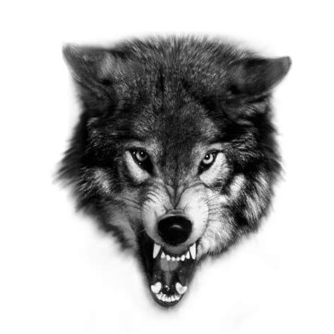 Revolutionary Snarling Wolf Tattoo Designs Ideas