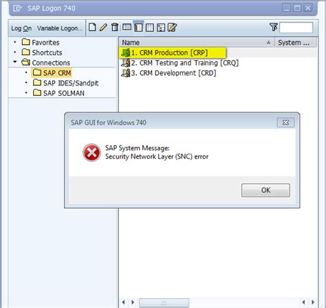 Snc Error In Sap Gui