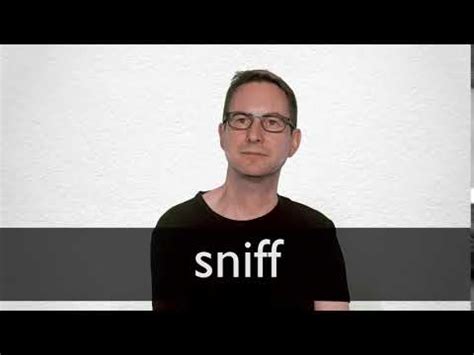 sniff meaning in english