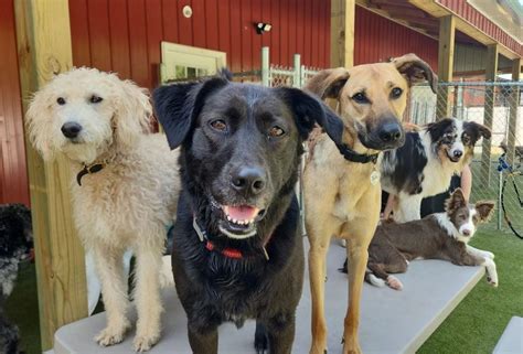 Sniffer Station Hours