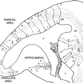 snippet peter for Chrome osmium