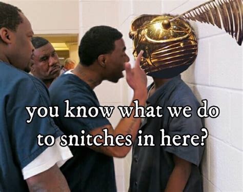 Snitch Meme