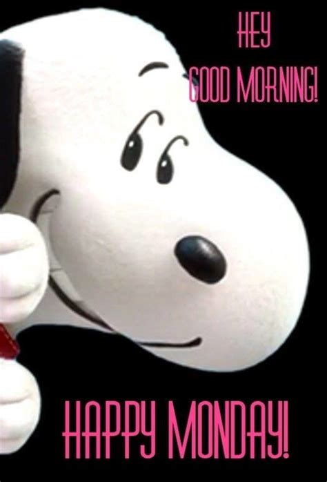 Snoopy Monday