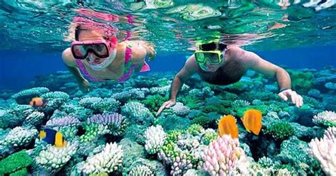 snorkel in punta cana