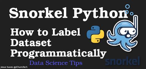 Snorkel Package Python