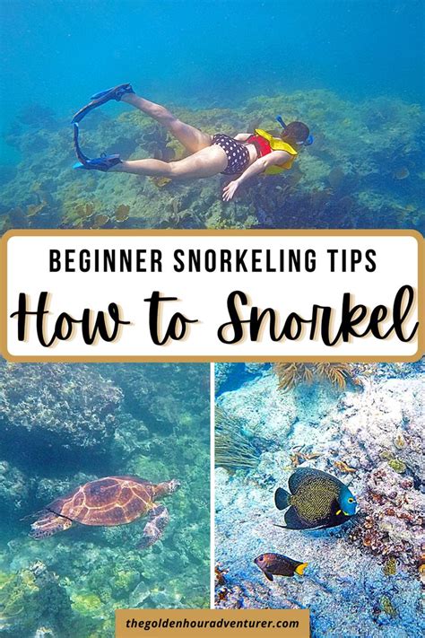 snorkel trip tips