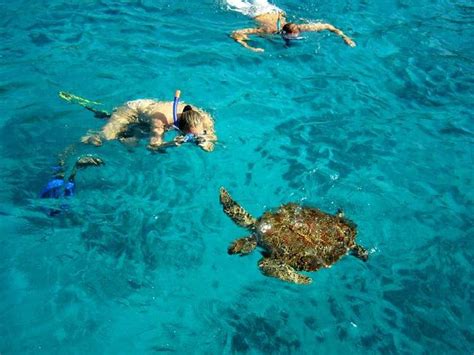 snorkeling Similan Islands
