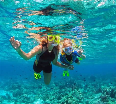 snorkeling activities