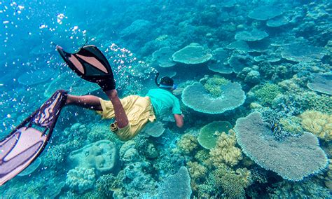 snorkeling di Indonesia
