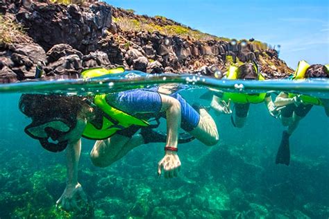 snorkeling excursions galapagos island