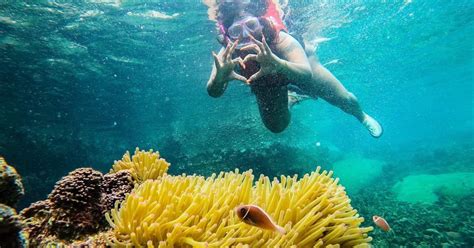 snorkeling highlights