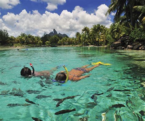 snorkeling in bora bora lagoon