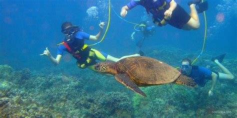 snorkeling in costa rica reviews