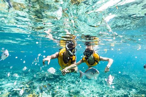 Snorkeling Recommendation