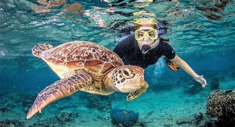 Snorkeling Tours
