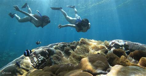 snorkelling experience