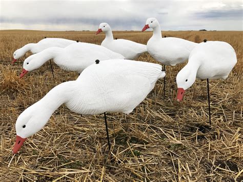 snow goose decoys for sale cheap