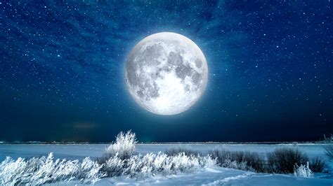Snow Moon