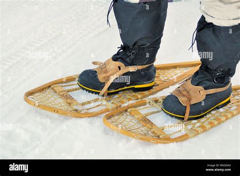 Snow Shoes Old