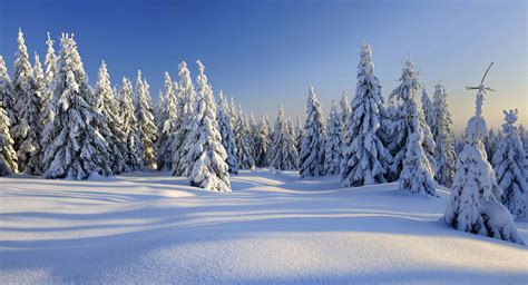 Snow Zoom Backgrounds to Add Winter Charm in Your Virtual Meetings - Get Ready to Chill!