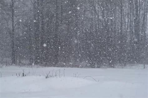 snowfall heavy