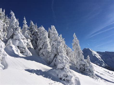 snowfall in the alps