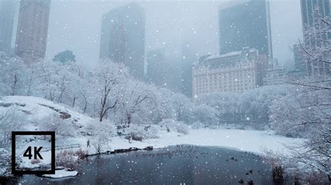 Snowfall Nyc Central Park