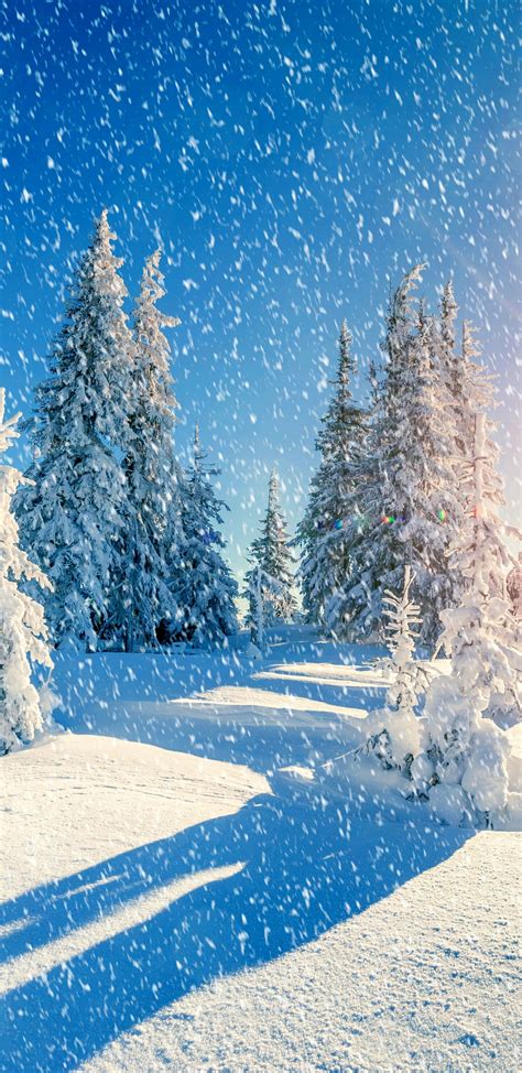 Snowfall Wallpapers Wallpaper Cave
