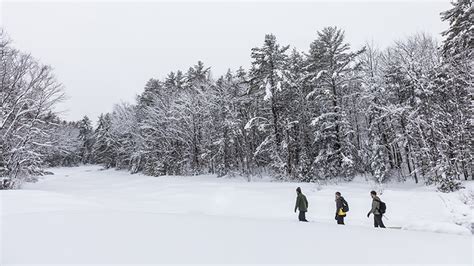 Snowshoeing Winter in maine, Visit maine, Maine winter