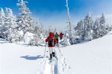 Snowshoeing Basics