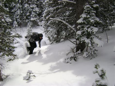 Snowshoeing Eldora