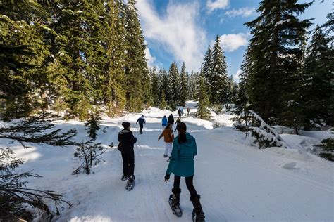 Snowshoeing In Cypress
