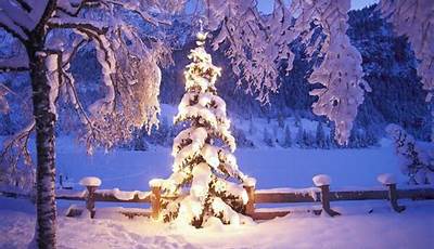 Snowy Christmas Wallpaper Backgrounds