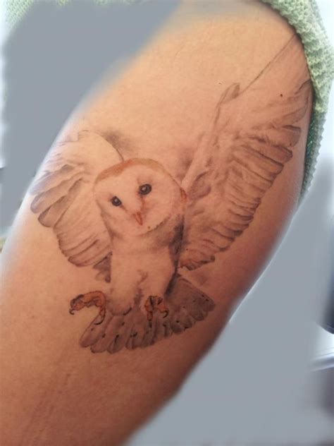 List Of Snowy Owl Tattoo Designs Ideas