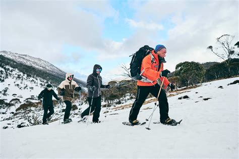 Snowy Mountain Activities