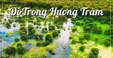 soạn văn bài đi trong hương tràm