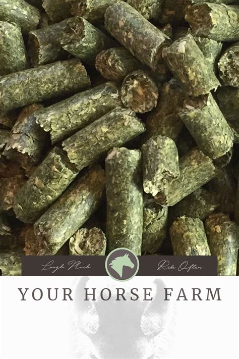 soaking alfalfa pellets for horses