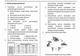 Artikel Pendidikan: Latihan Soal IPA Kelas 8 dan Kunci Jawaban