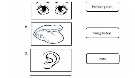 2023 UASA Standard 4 Bahasa Melayu for SK & SJKC - Zekolah.com