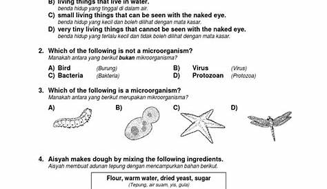 Contoh Kertas Soalan Peperiksaan Sains Darjah 1 2019 Sorencelmills - Riset