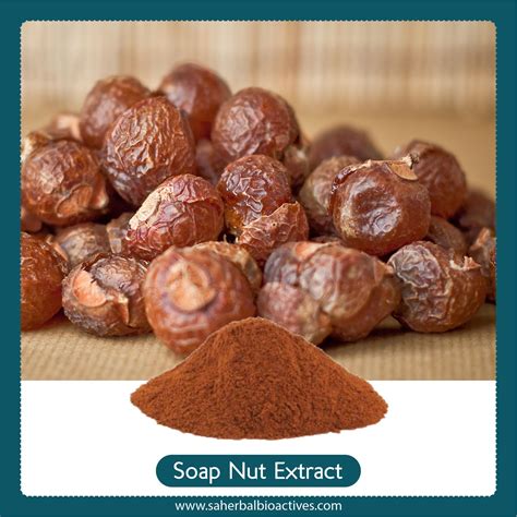 Soap Nut Extract