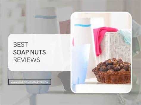Soap Nuts Reviews